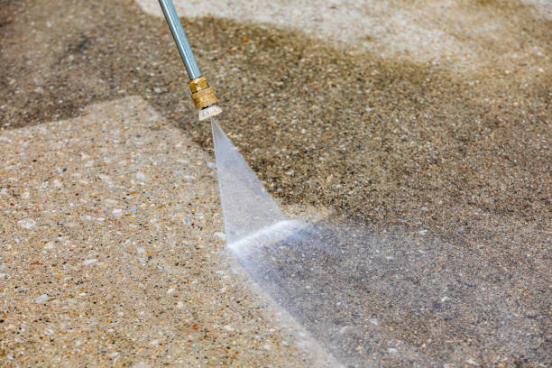 Best Soft Washing  in Eureka, IL